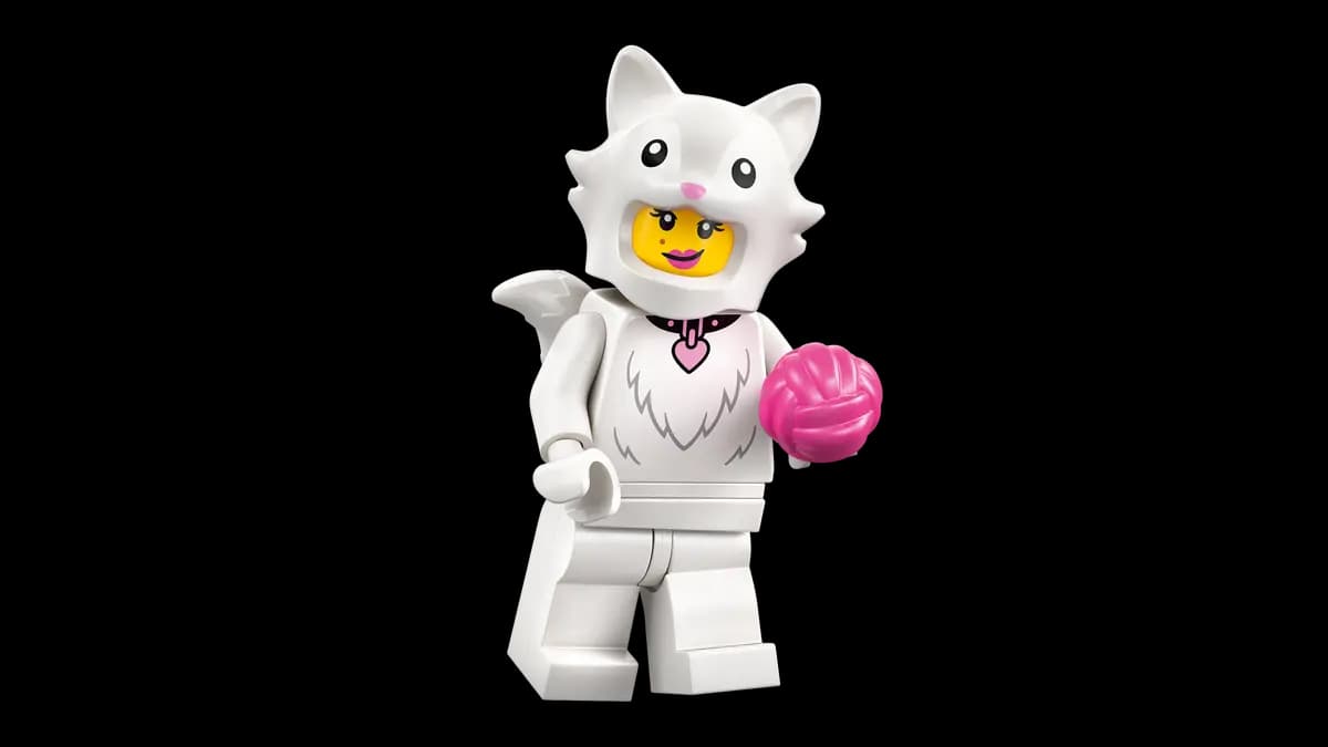 Il gatto bianco con il collarino rosa a cuore e il gomitolo di lana